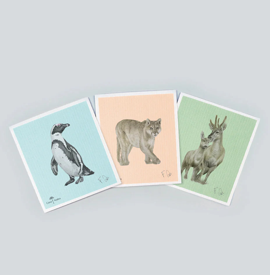 Pack paño esponja compostable absorbentes multiuso