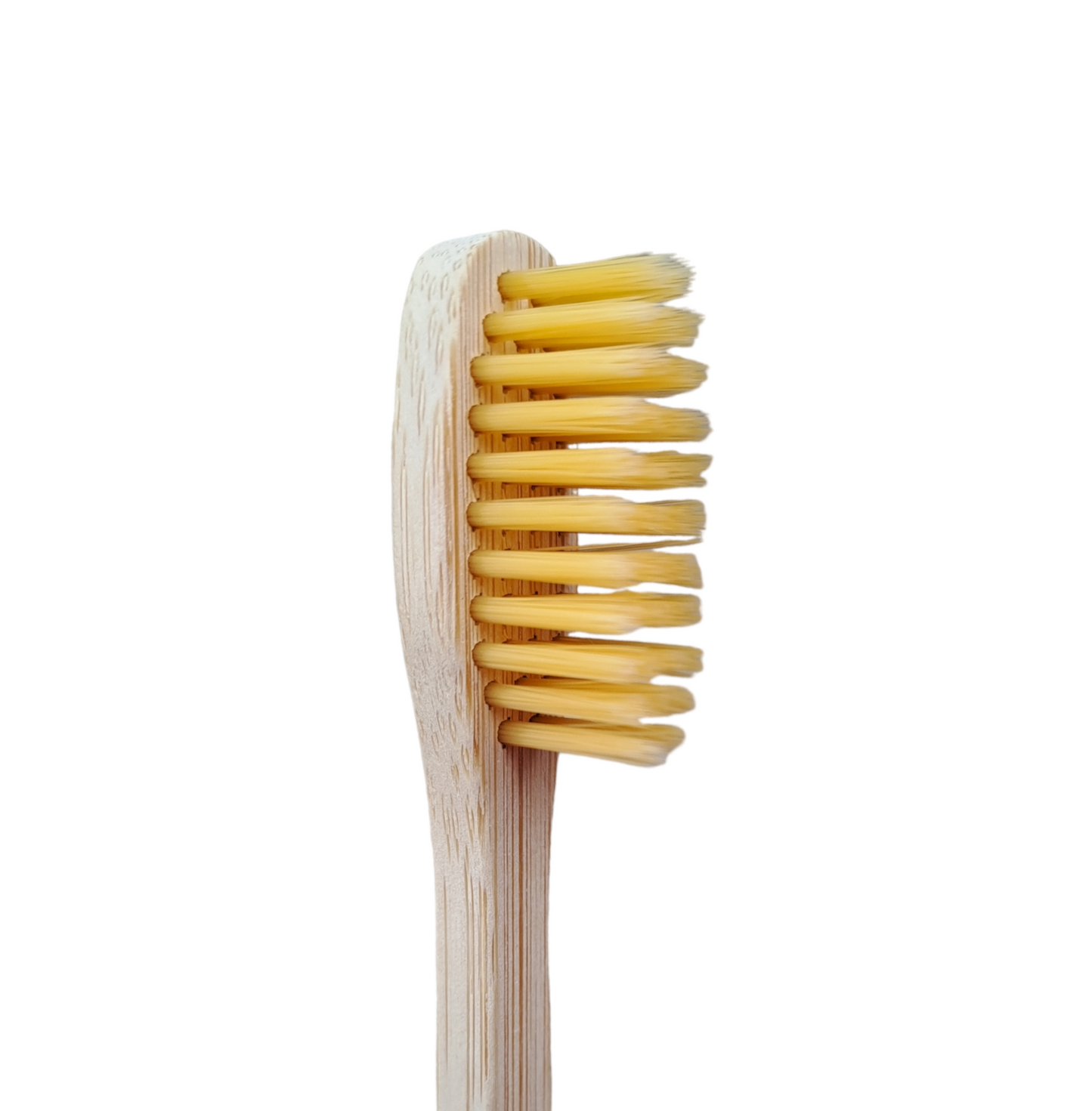 Cepillo de dientes de bambú adulto