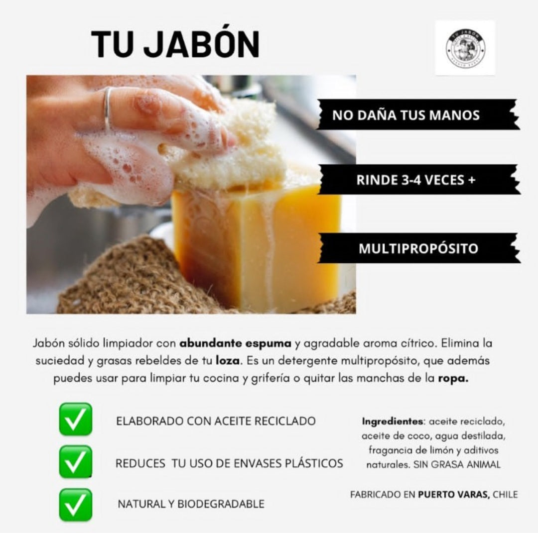 Lavaloza en barra Biodegradable