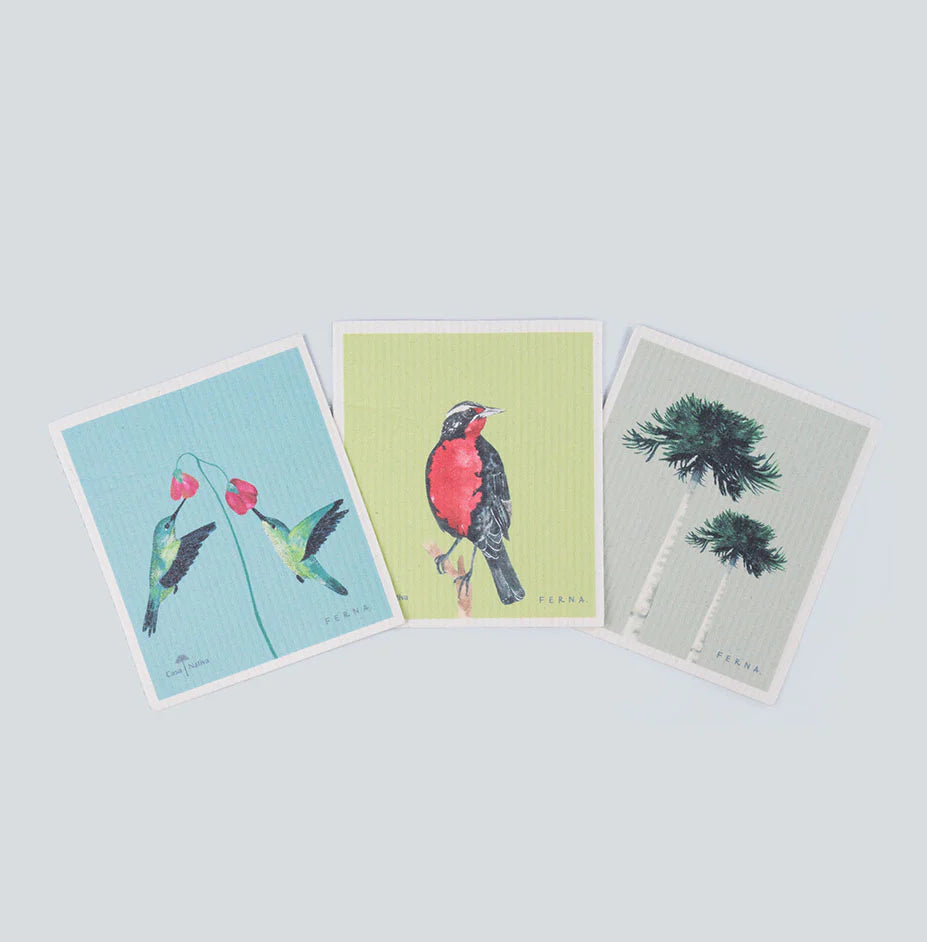 Pack paño esponja compostable absorbentes multiuso