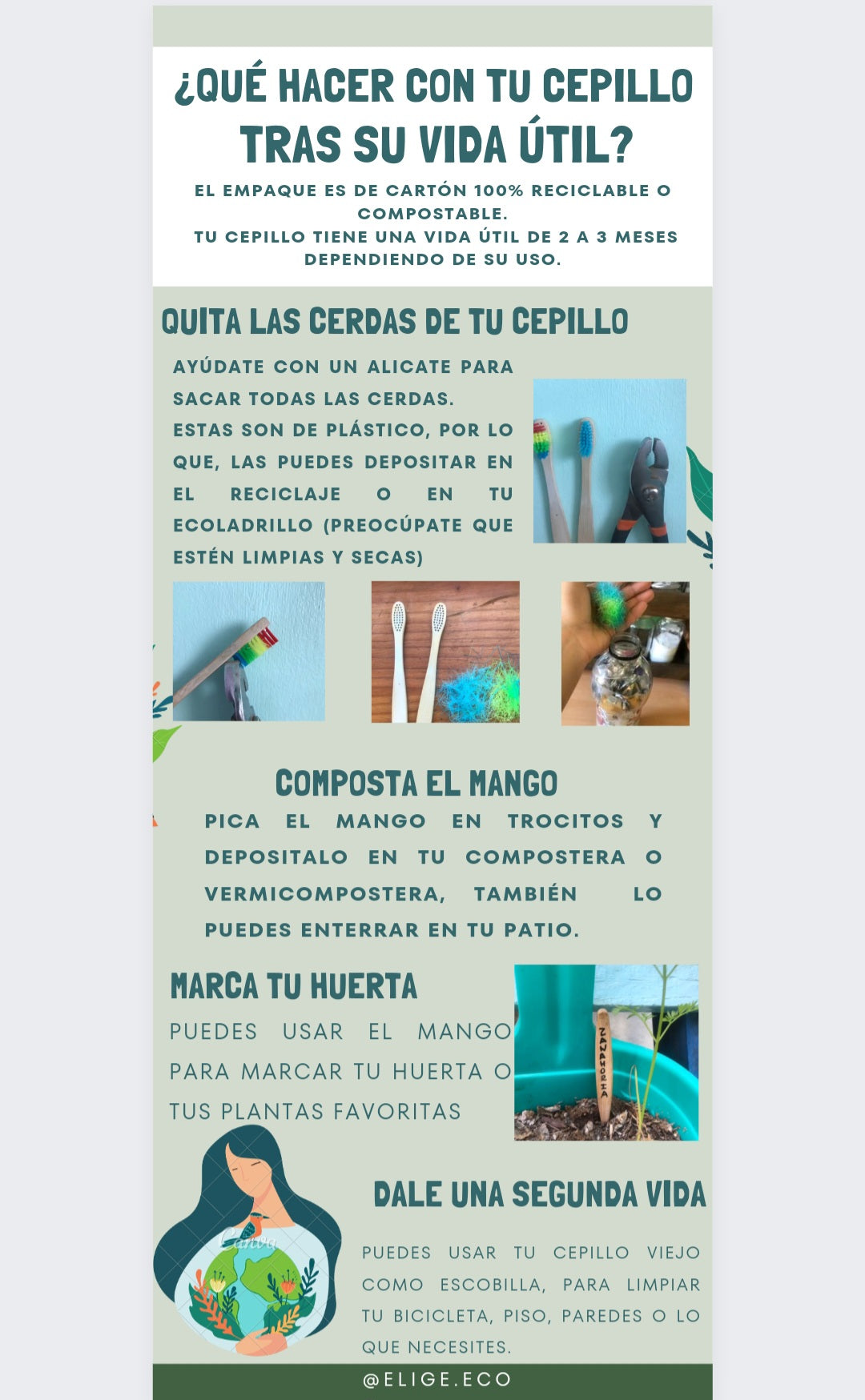 Pack 10 cepillos de bambú adulto y niñx