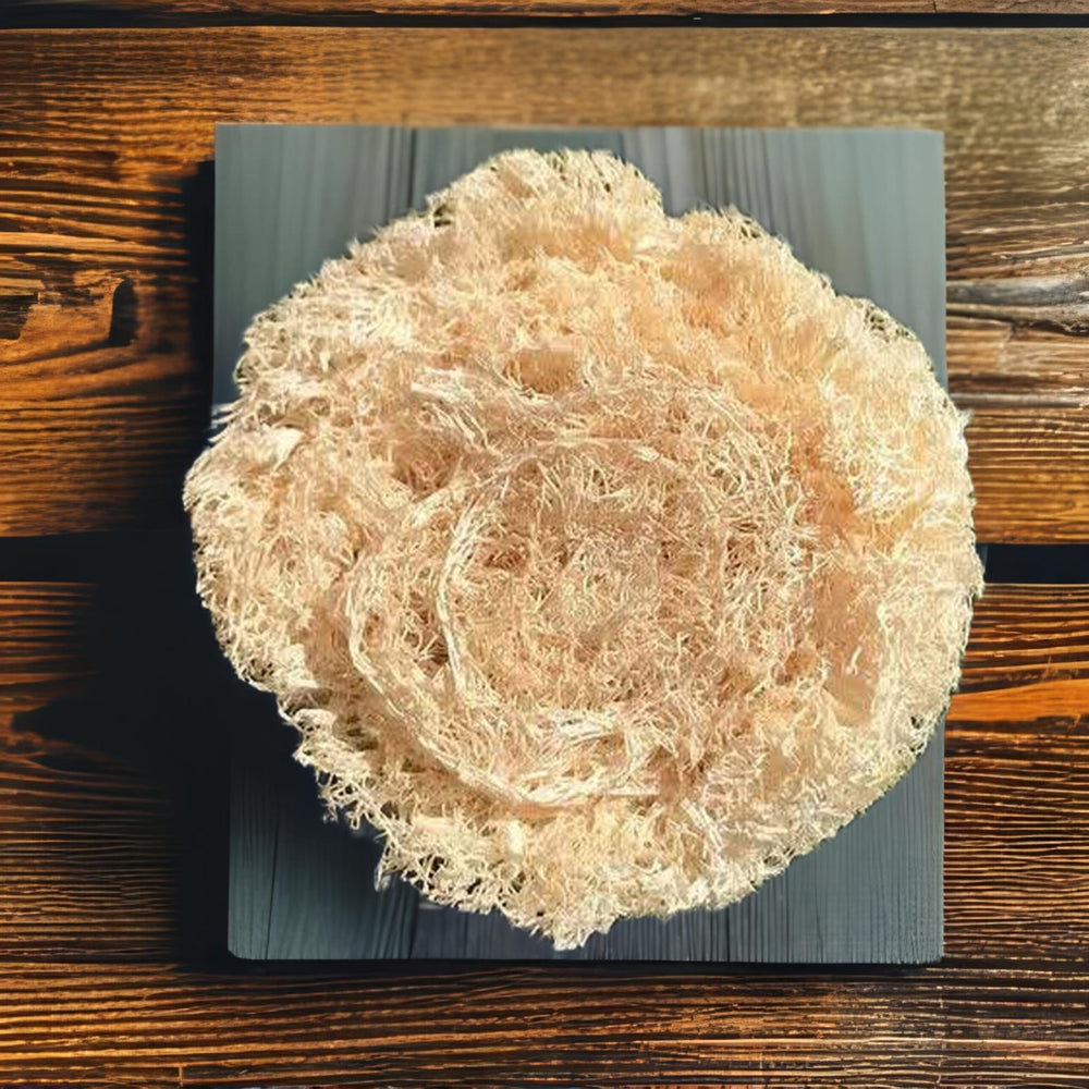 Virutilla de luffa