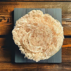 Virutilla de luffa