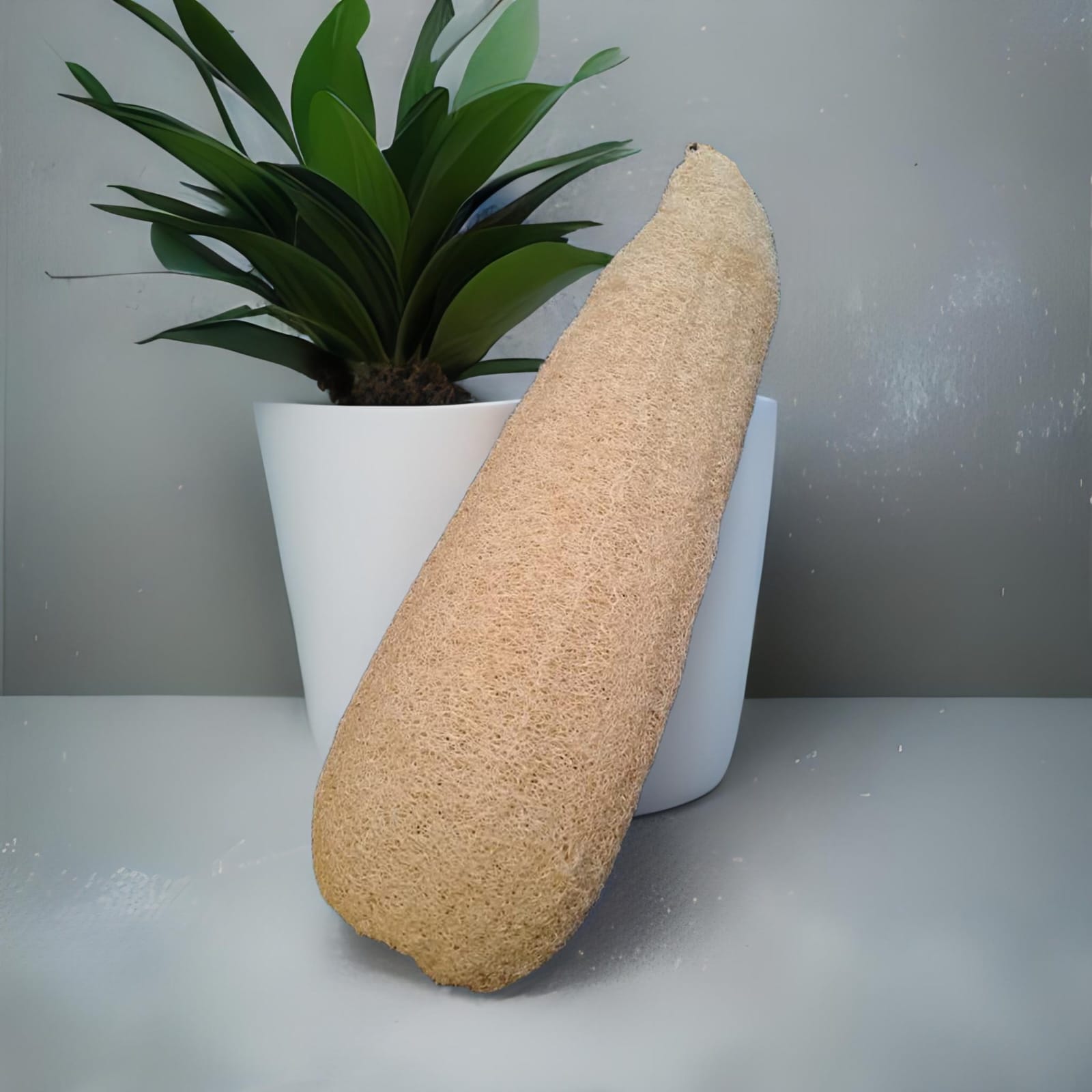 Luffas | Esponjas vegetales – eligeeco