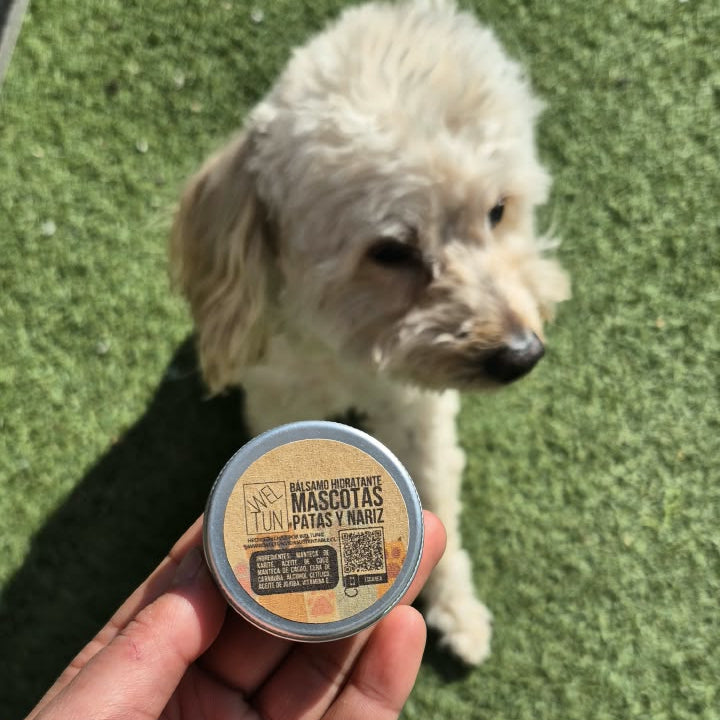 Barra Hidratante para Patas y Nariz de Perros