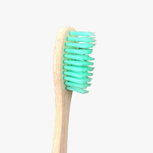 Cepillo de dientes de bambú adulto